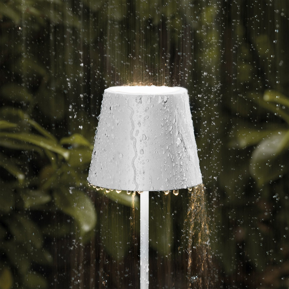 Fendry Table Lamp