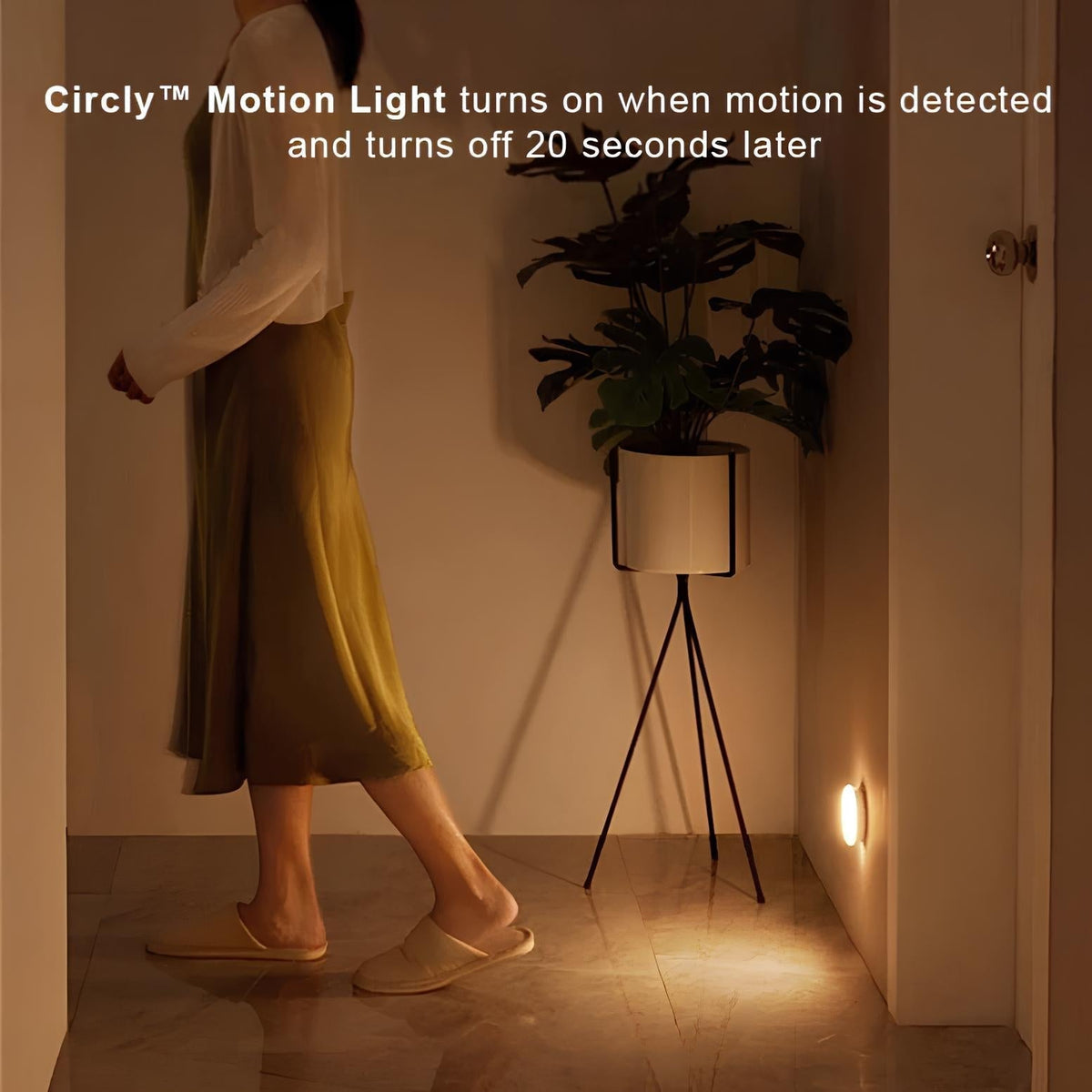 Rafael Motion Sensor Light