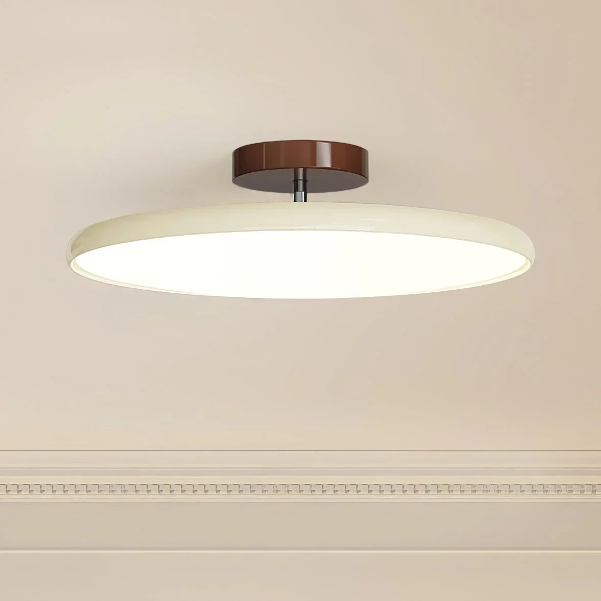 Adjustable Drift Ceiling Light